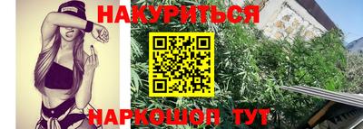 гидра Тула