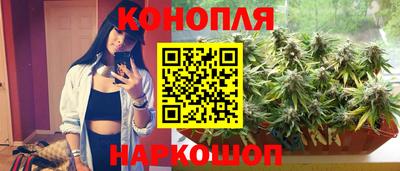 гидра Тула