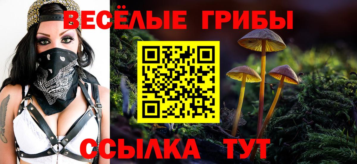 Сургут  купить наркотики сайты  Вход с VPN  Псилоцибиновые грибы мухоморы 